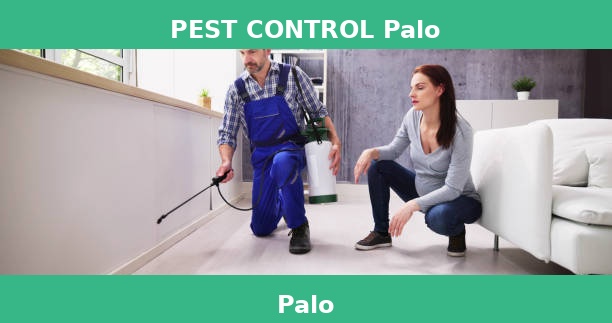 PEST CONTROL Palo